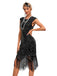 1920s Sequined Fringe Round Neck Cap Sleeve Dress