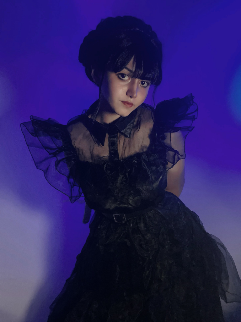 Black 1950s Halloween Organza Ruffled Lapel Dress