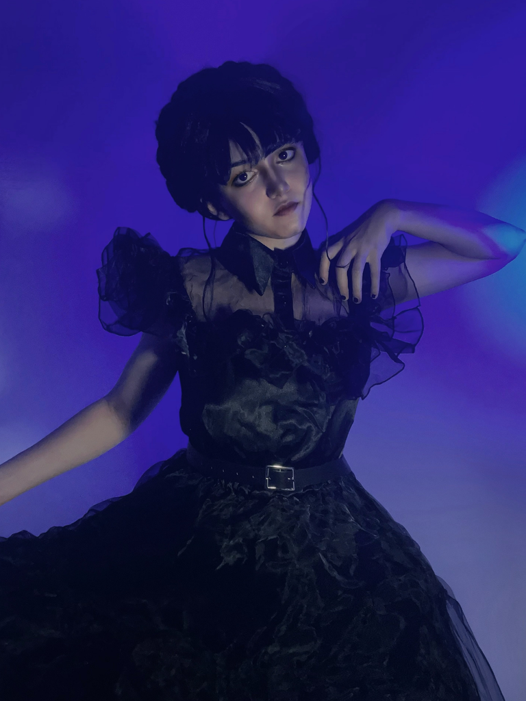 Black 1950s Halloween Organza Ruffled Lapel Dress
