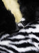 Black 1970s Zebra Fur Collar Cape Coat - vintage fashion, retro style, classic black