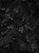 SCH005467 - 6