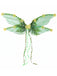 Floral Vintage Classic Accessory
