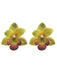 Accessories 2