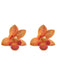Accessories 3