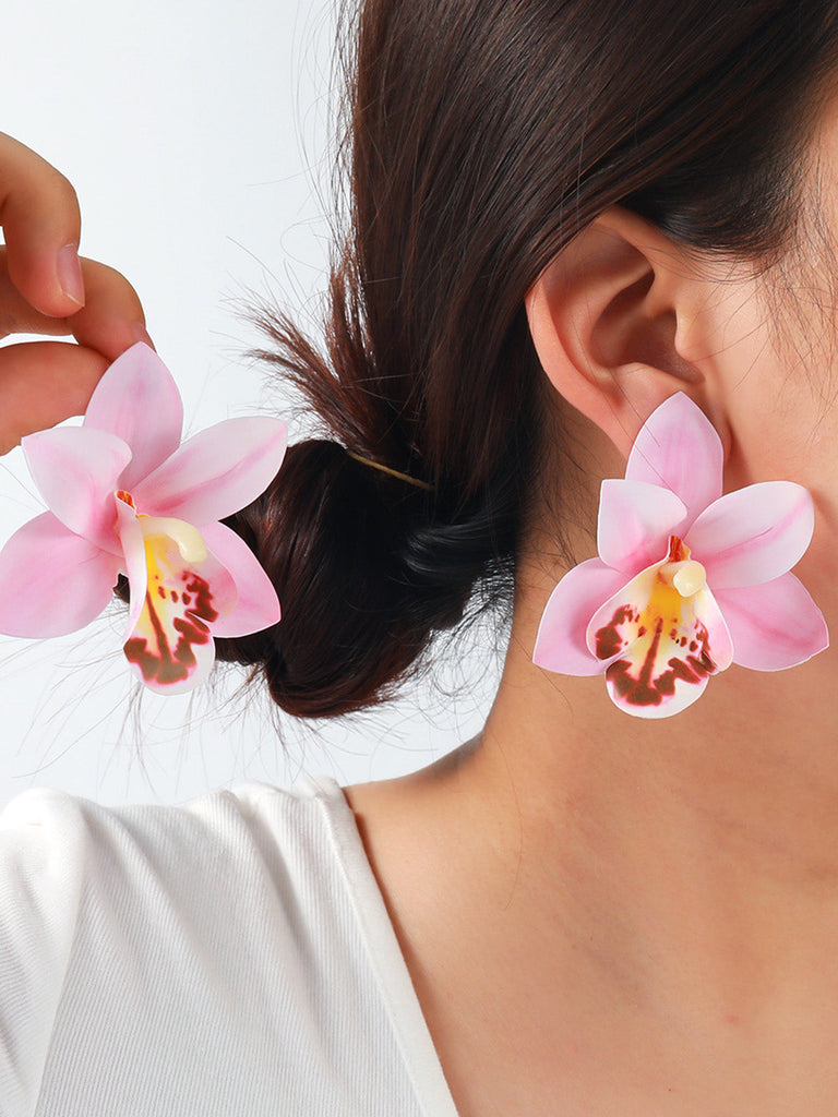 Accessories 6