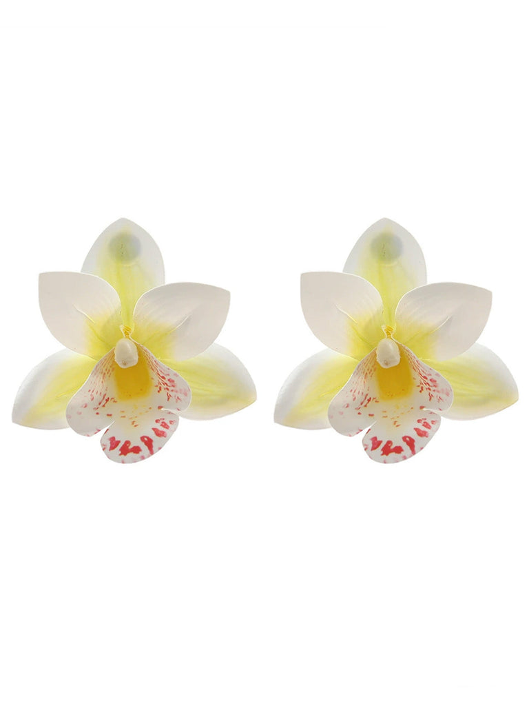 Accessories 7