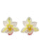 Accessories 7