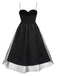 Black 1950s Solid Spaghetti Strap Mesh Dress
