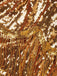SCH007569 - 6