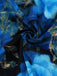 SCH009248 - 8