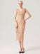 1920s Sequined Fringed Sleeveless Dress