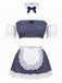 1930s Plaid Lace Mesh Nightgown