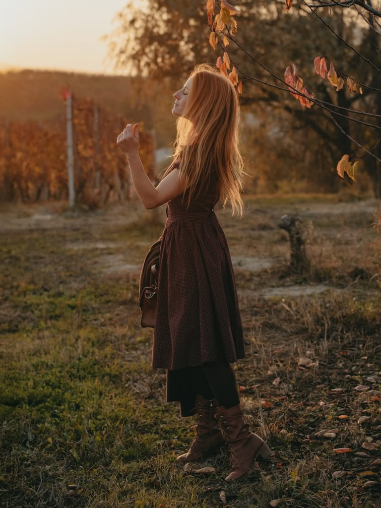 Red 1950s Plaid Lapel Puff Sleeves Cotton Dress