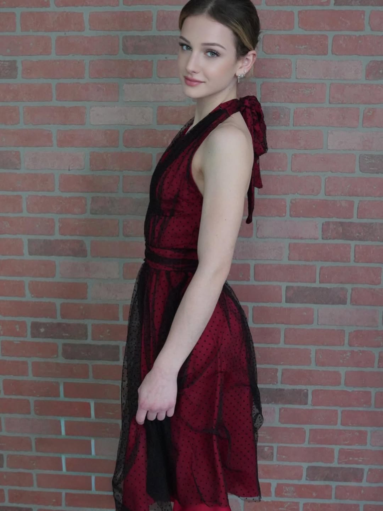 Red 1950s Dots Mesh Swing Dress