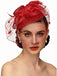 Vintage Mesh Feather Bow Hair Accessories - vintage fashion, retro style