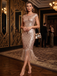 Pink 1920s Sequin Fringed Dress
