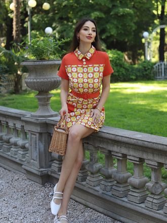 Multicolor 1960s Daisy Lapel Belt Dress