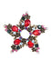 Retro Christmas Star Rhinestone Brooch