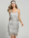 [Clearance] Belted Gray 1920s Fringe Gatsby Dress