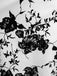 1950s Floral Swing Dress: elegant vintage style