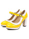 Ankle Strap Chunky Heels Mary Jane Shoes — vintage elegance for the modern woman