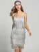 She slips into this [Clearance] Belted Gray 1920s Fringe Gatsby Dress and suddenly it's a 1920s daydream